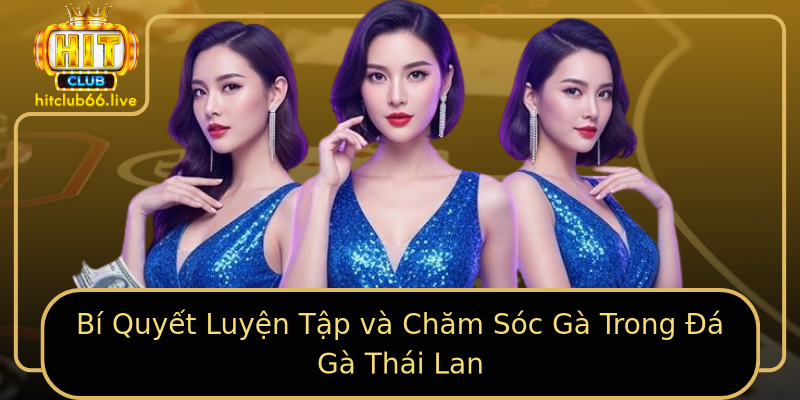 Bí Quyết Luyện Tập và Chăm Sóc Gà Trong Đá Gà Thái Lan