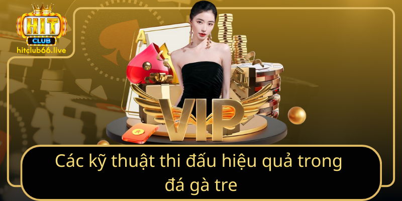 Các kỹ thuật thi đấu hiệu quả trong đá gà tre Các kỹ thuật thi đấu hiệu quả trong đá gà tre