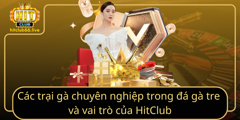 Các trại gà chuyên nghiệp trong đá gà tre và vai trò của HitClub Các trại gà chuyên nghiệp trong đá gà tre và vai trò của HitClub