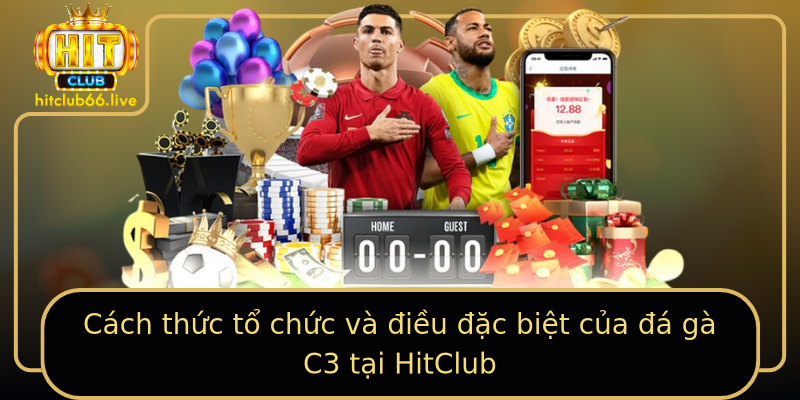 Cách thức tổ chức và điều đặc biệt của đá gà C3 tại HitClub Cách thức tổ chức và điều đặc biệt của đá gà C3 tại HitClub