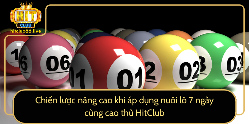 Chiến lược nâng cao nuôi lô 7 ngày cùng cao thủ HitClub Chiến lược nâng cao nuôi lô 7 ngày cùng cao thủ HitClub