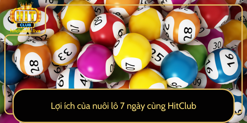 Lợi ích của nuôi lô 7 ngày cùng HitClub Lợi ích của nuôi lô 7 ngày cùng HitClub