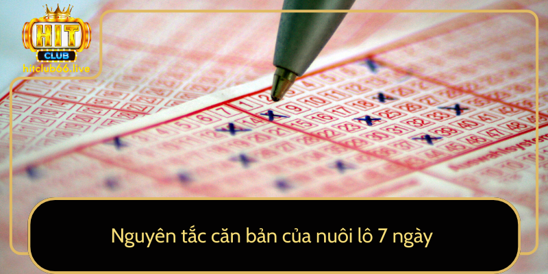 Nguyên tắc căn bản của nuôi lô 7 ngày Nguyên tắc căn bản của nuôi lô 7 ngày