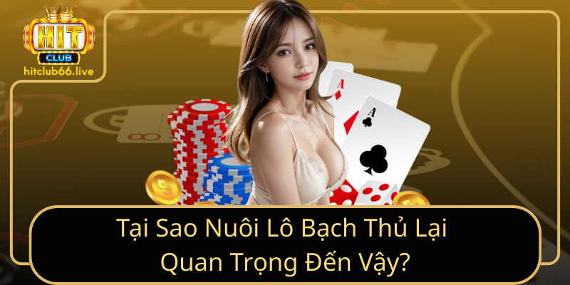 Tại Sao Nuôi Lô Bạch Thủ Lại Quan Trọng Đến Vậy? Tại Sao Nuôi Lô Bạch Thủ Lại Quan Trọng Đến Vậy?