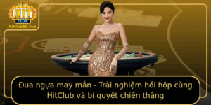 Ua Ngua May Man Trai Nghiem Hoi Hop Cung Hitclub Va Bi Quyet Chien Thang